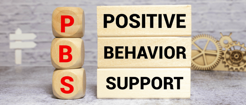 What is Positive Behaviour Support?